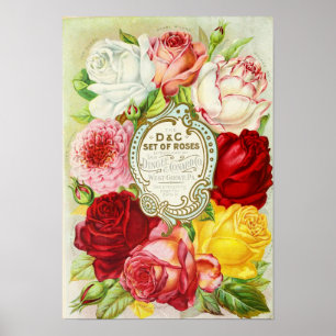 Ro Dingee and Conard Company Seed Catalog Poster