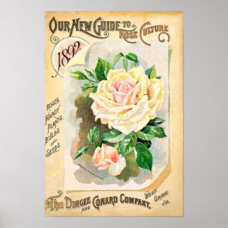 Ro Dingee and Conard Vintage Seed Catalog Poster