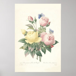 Ro du Bengale Kanvastryck Poster