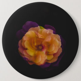 Ro (dubblans exponeringsversion) knapp