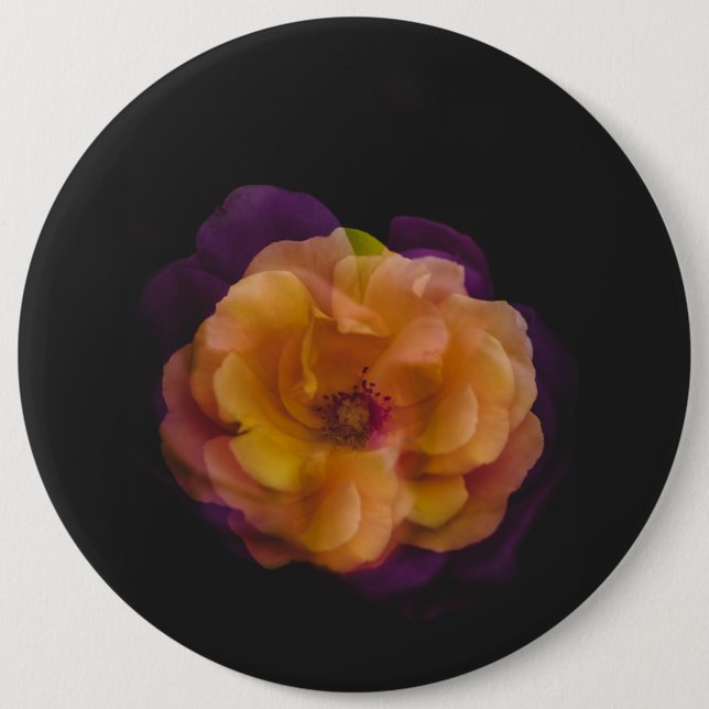 Ro (dubblans exponeringsversion) knapp (Framsida)