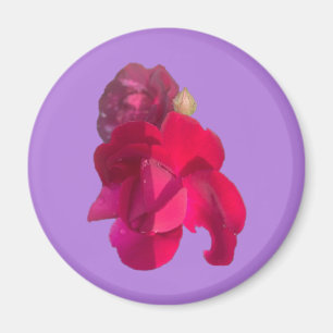 RO E MAGNET