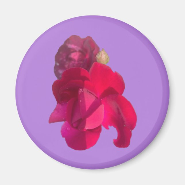 RO E MAGNET (Framsidan)