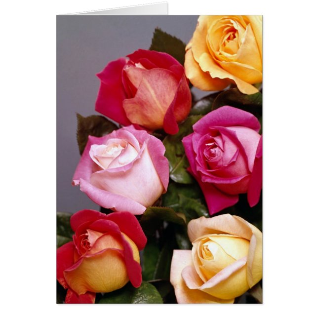 Ro Elegance Cards Hälsningskort (Framsidan)