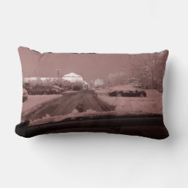 ro färgad glasögon lumbarkudde