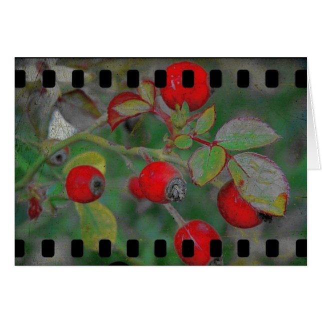 Ro Film 2 Hälsningskort (Framsidan Horizontal)