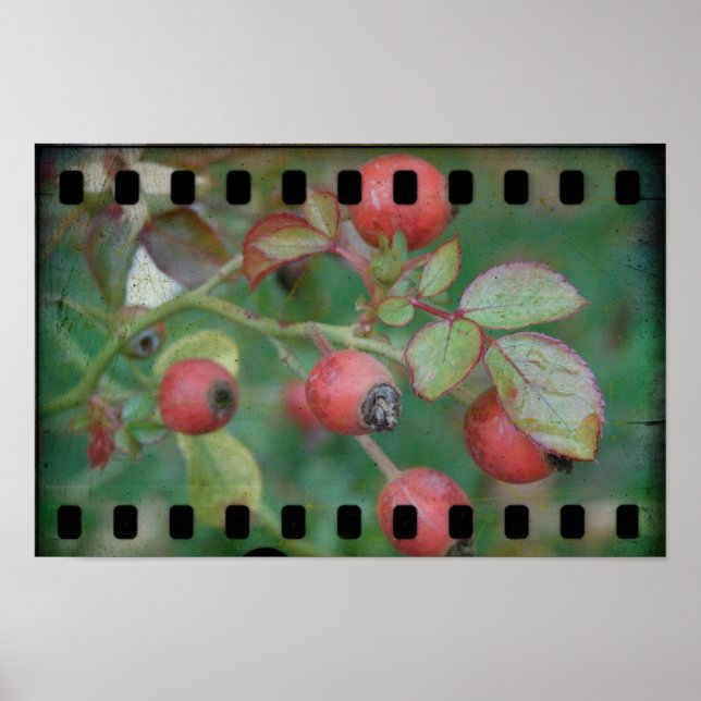 Ro Film Poster (Framsidan)