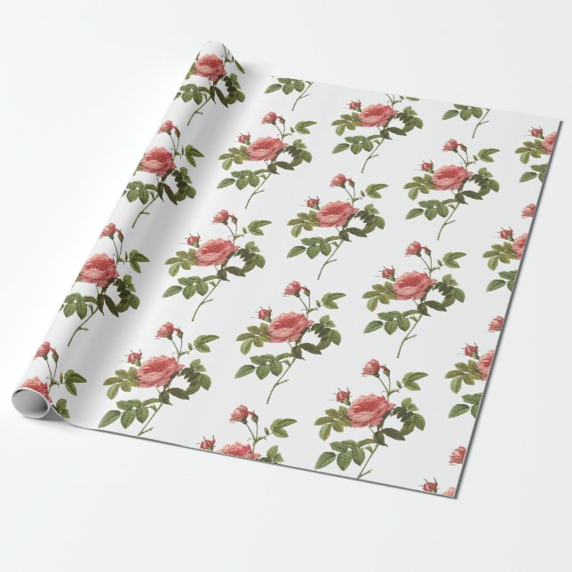 Ro Flower Mönster Presentpapper (Utrullad)