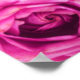 Ro Flower Rosa Poster