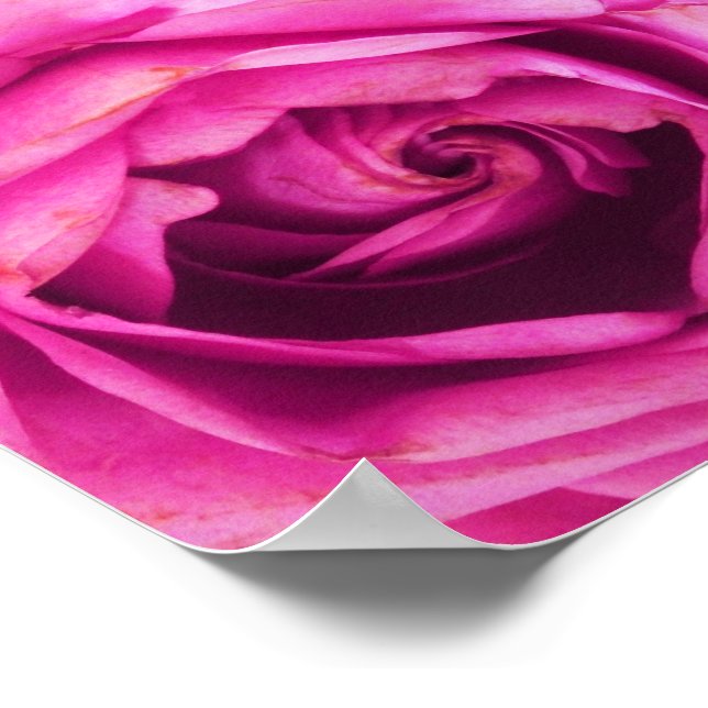 Ro Flower Rosa Poster (Hörn)