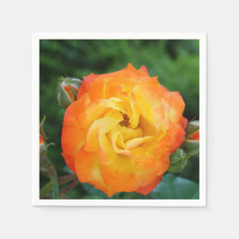 Ro Flower Standard Cocktail Napkin Pappersservett