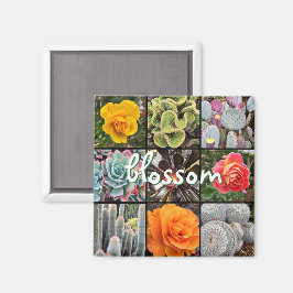 Ro Flowers Cacti Photo Collage Blommar Script Magnet