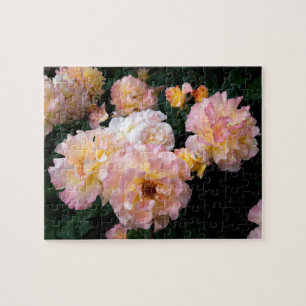 Ro Flowers , Rosa Gul ros Pussel