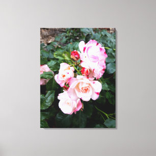 Ro Flowers , Rosa Red Vit ros Canvastryck