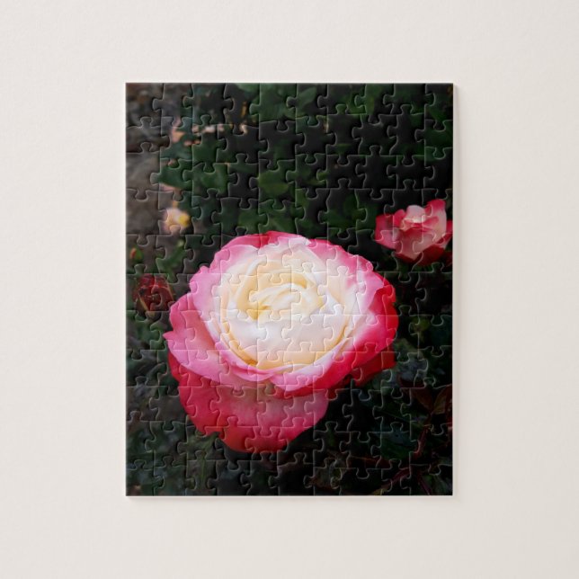 Ro Flowers , Rosa Red Vit ros Pussel (Vertikal)