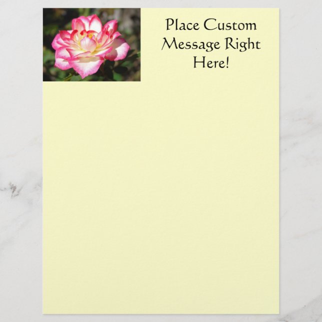 Ro Flyer Template Rosa Vit ros Gult Flyer (Framsidan)