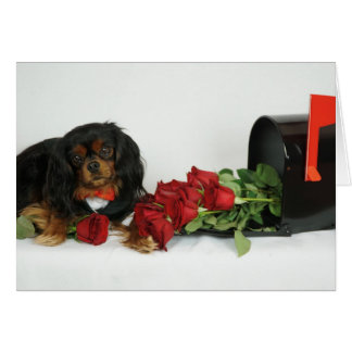 Ro för dig hälsningskort