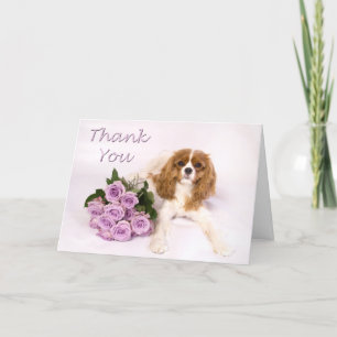 Ro för Spaniel för kung Charles för tack stolt Kort