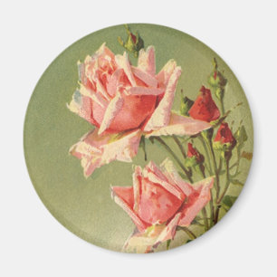 Ro för vintagerosaträdgård för valentin dag magnet