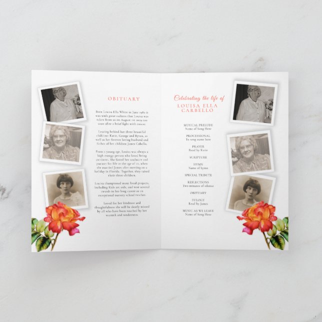 Ro-foton i det vanliga serviceprogrammet program (Inuti)