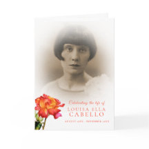 Ro-foton i det vanliga serviceprogrammet