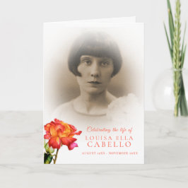 Ro-foton i det vanliga serviceprogrammet program