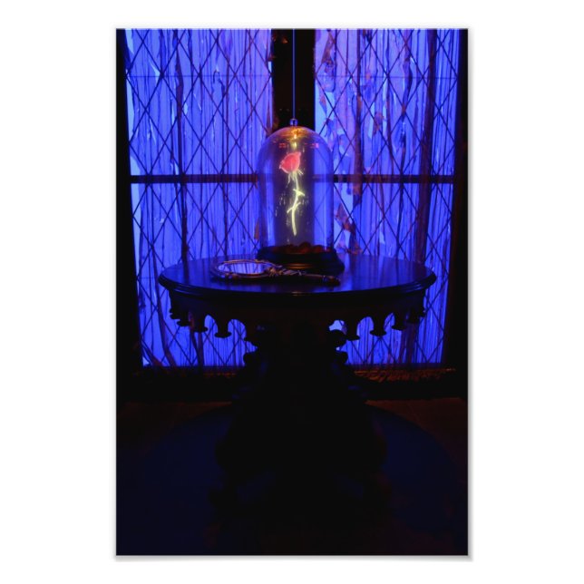 Ro Fototryck (Framsidan)