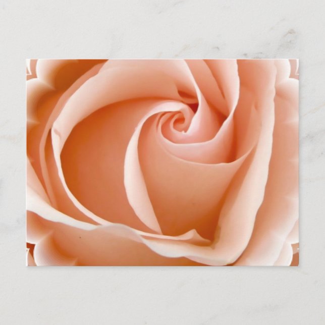 Ro-fotovykort Vykort (Framsida)