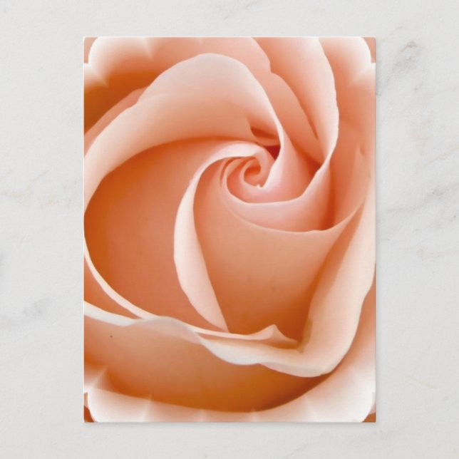 Ro-fotovykort Vykort (Framsida)