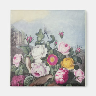 Ro, från "Florans tempel" Magnet
