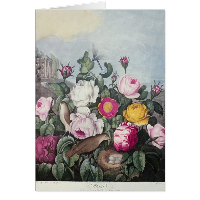 Ro från 'tempelet av floror hälsningskort (Framsidan)