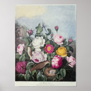Ro från 'tempelet av floror poster
