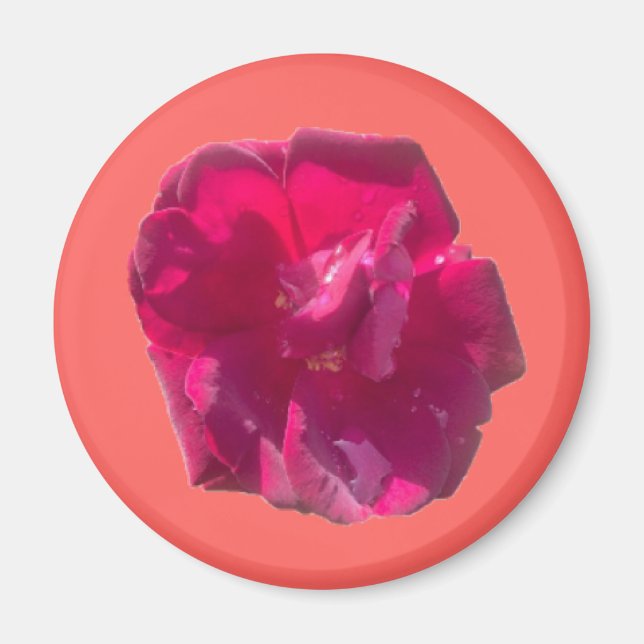 RO G MAGNET (Framsidan)