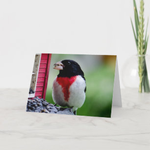 Ro gådd mot Grosbeak Kort