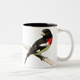 Ro-gådd mot Grosbeak Två-Tonad Mugg