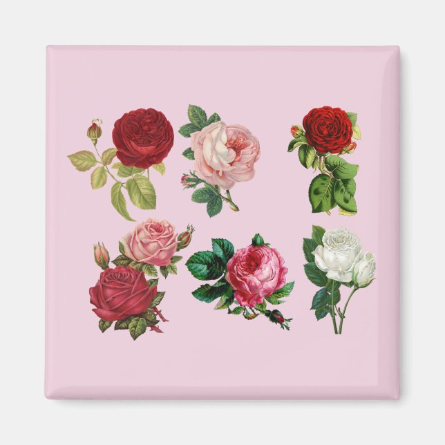 ro galore magnet (Framsidan)