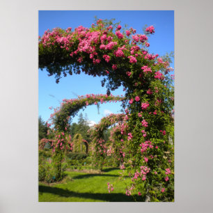 Ro Garden Arches of Elizabeth Park Poster