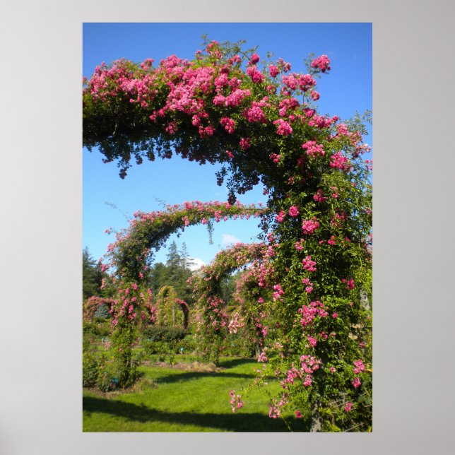 Ro Garden Arches of Elizabeth Park Poster (Framsidan)