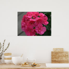 Ro Geranium Flower Poster