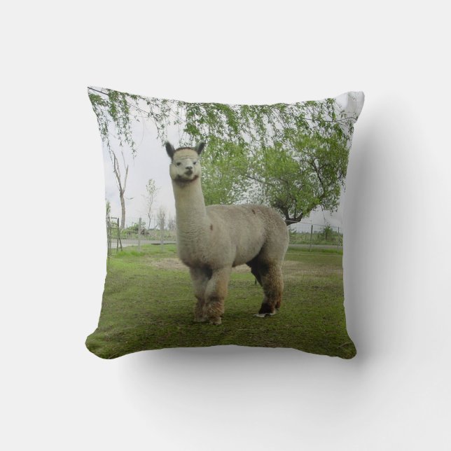 Ro Grått Alpaca Kudde (Framsida)