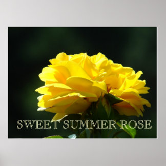 RO Gul ros Blommor 2 Art-utskrifter Poster konst