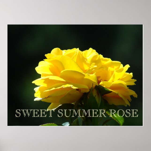 RO Gul ros Blommor 2 Art-utskrifter Poster konst (Framsidan)