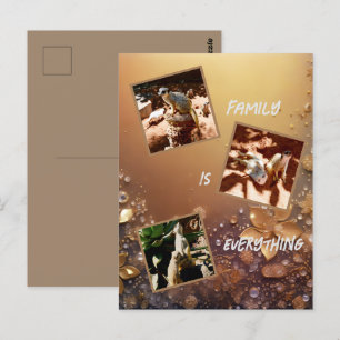 Ro Guld Meerkat-familjen är allt. Vykort