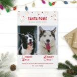 Ro-guldfärghuvud eller Nicefoto med två Hund<br><div class="desc">Cute och lustiga helgdagskort! "Santa Tass kommer till stan" två hund med ett stygt eller fint kontrollmärke och riktiga folier!</div>