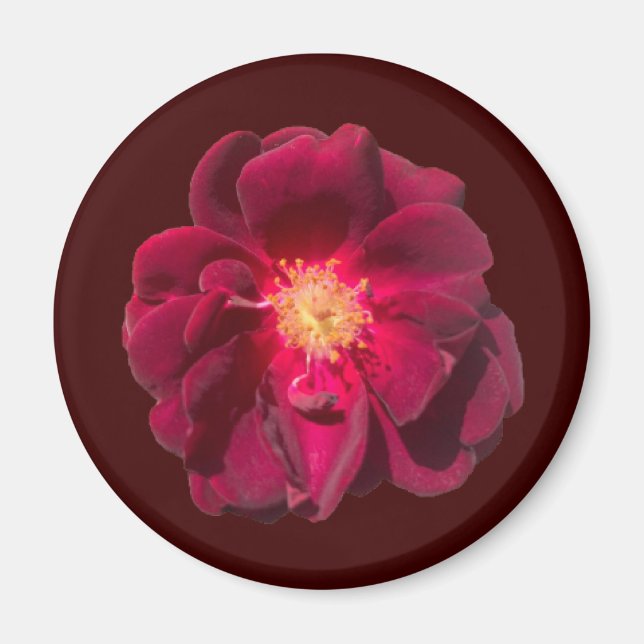 RO H MAGNET (Framsidan)