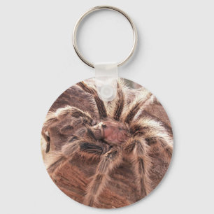 Ro Hair Tarantula Nyckelring