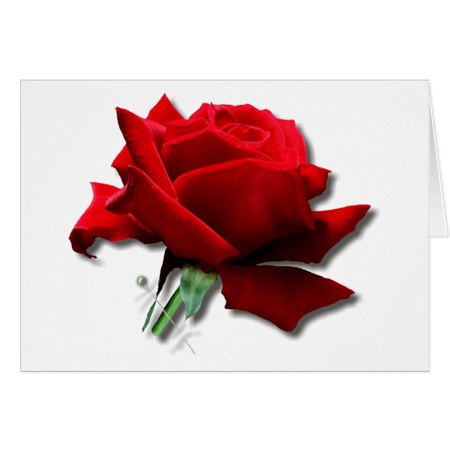 Ro Hälsningskort (Framsidan Horizontal)