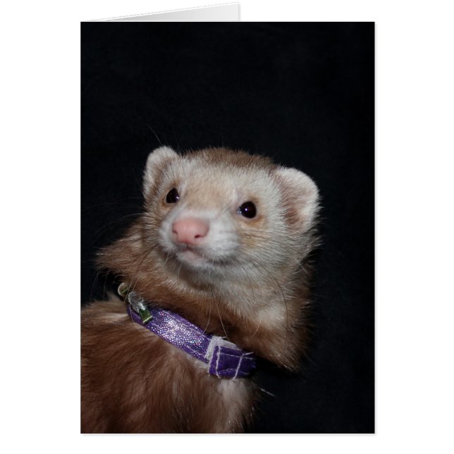 Ro Hälsningskort (Framsidan)