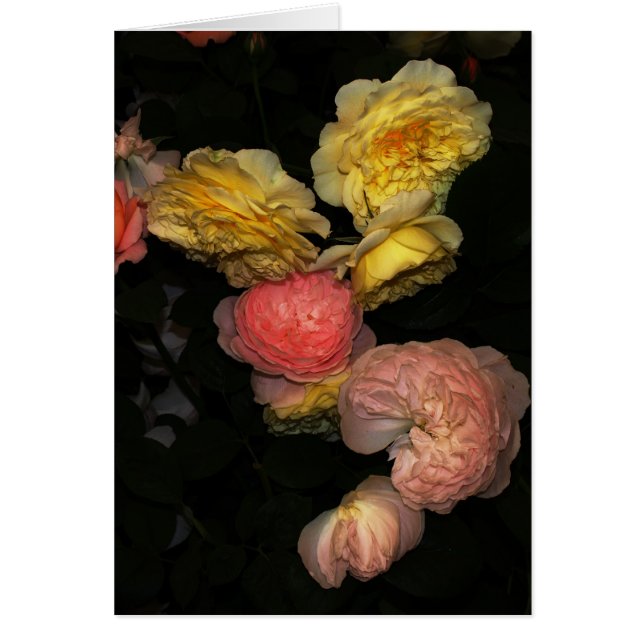 Ro Hälsningskort (Framsidan)