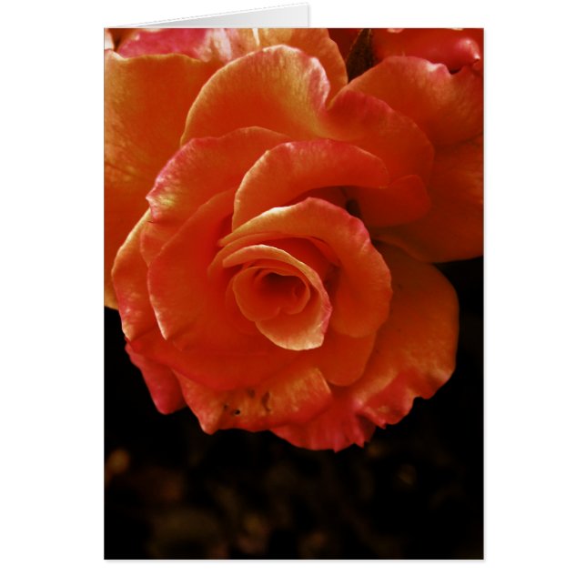 Ro Hälsningskort (Framsidan)